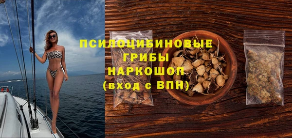 мяу мяу мука Иннополис