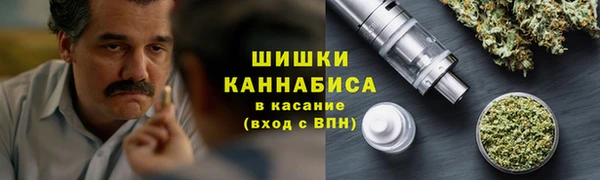 кристаллы Инта