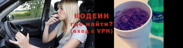 мяу мяу мука Иннополис