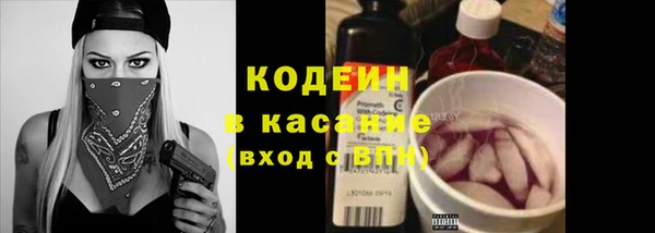 мяу мяу мука Иннополис