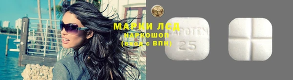 мяу мяу мука Иннополис