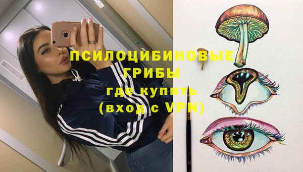 кристаллы Инта