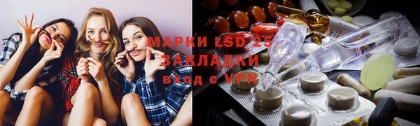 мяу мяу мука Иннополис